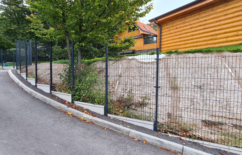 caption for image 1