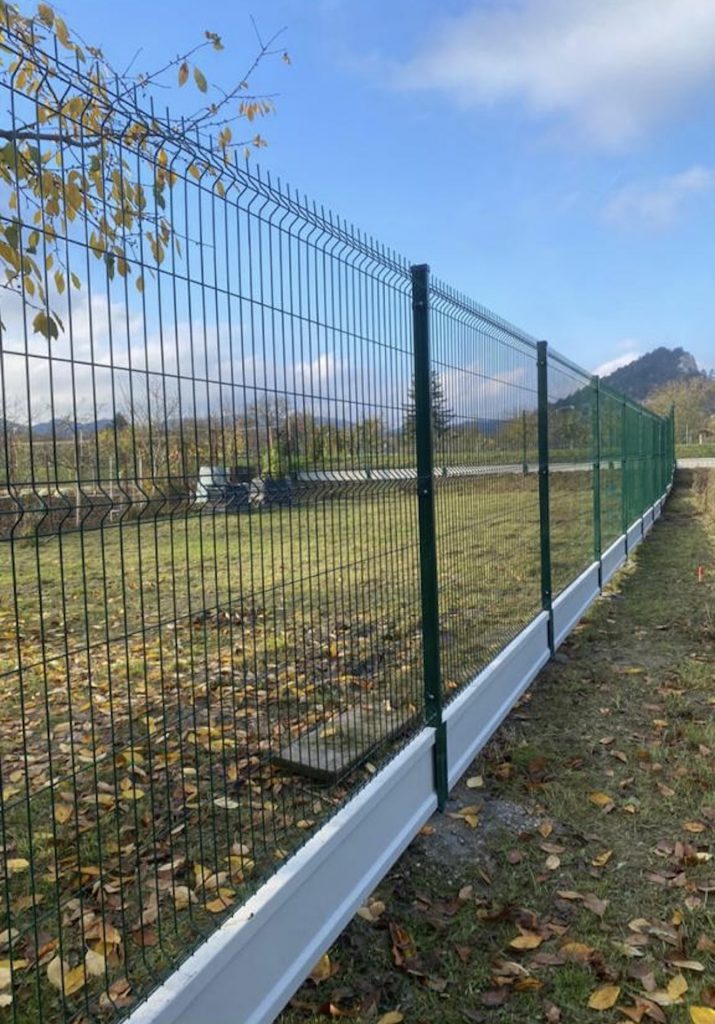 caption for image 1