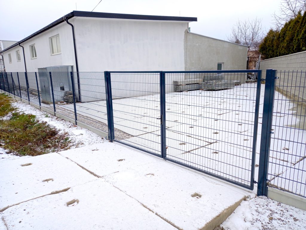 caption for image 1