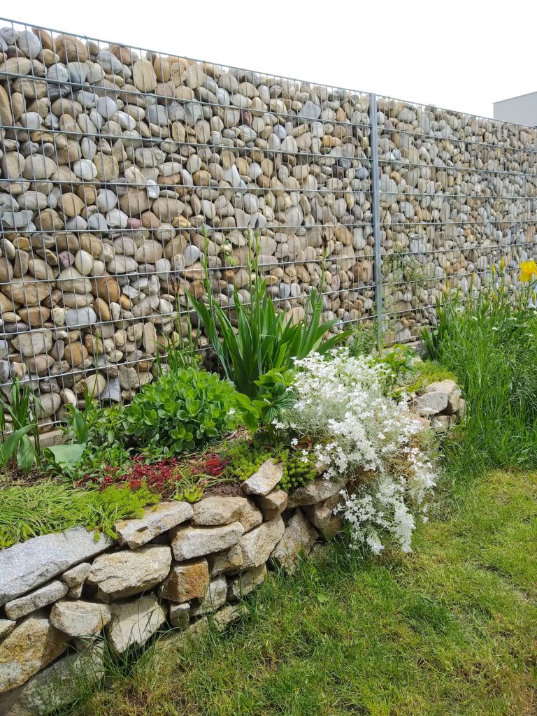 caption for image 1