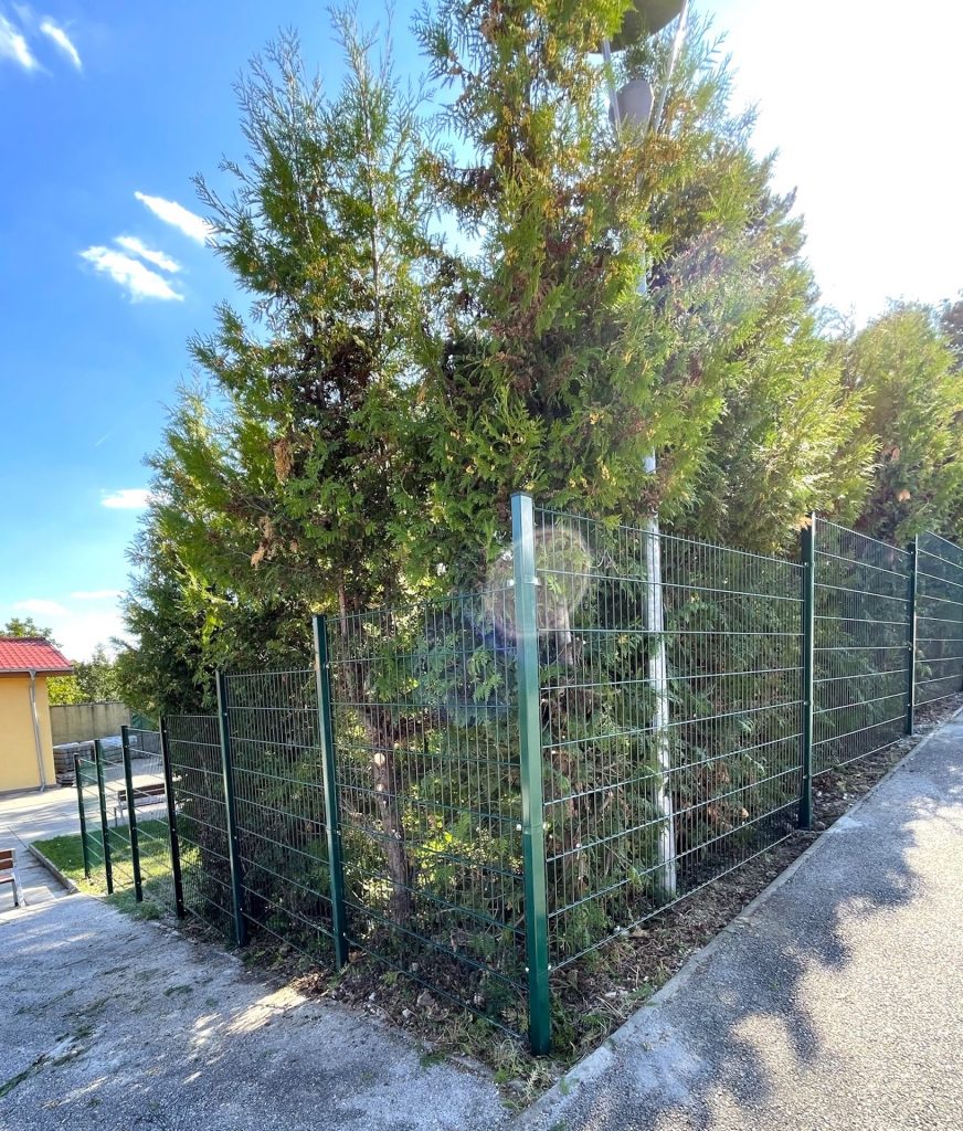 caption for image 1