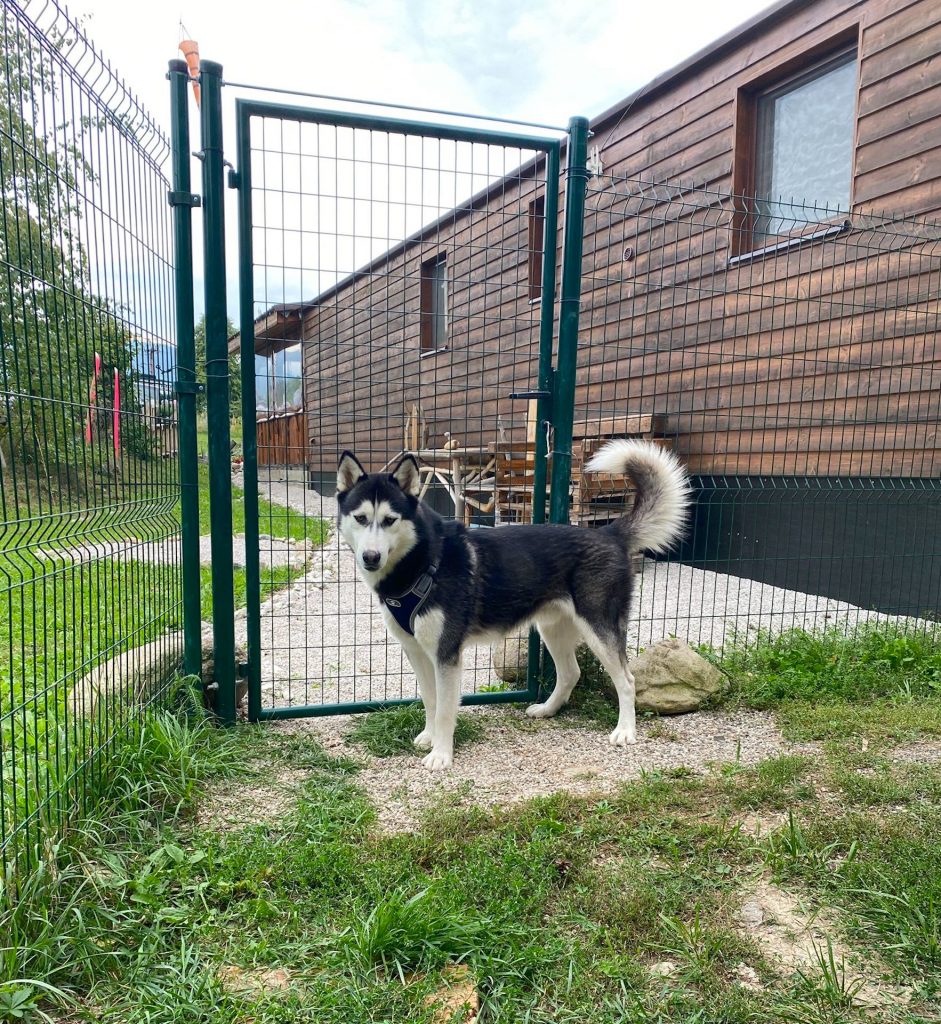 caption for image 1