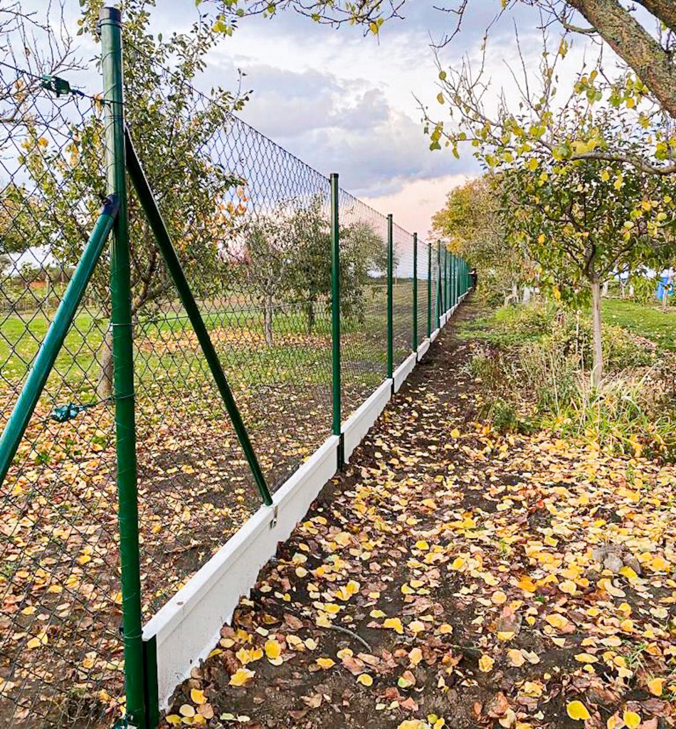 caption for image 1