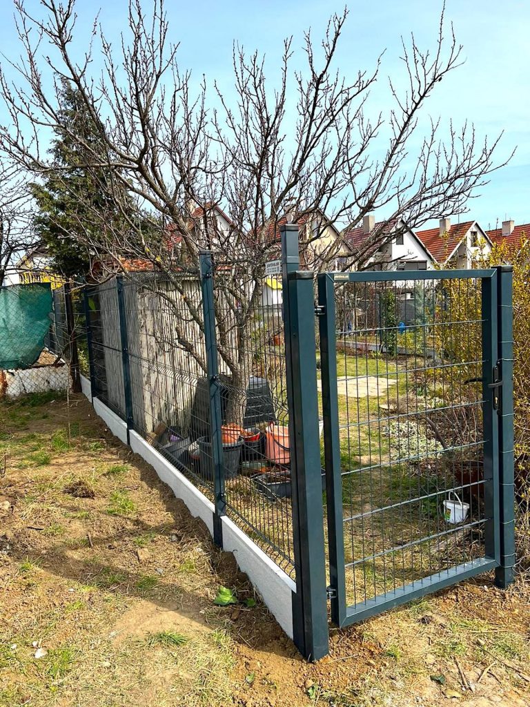 caption for image 1