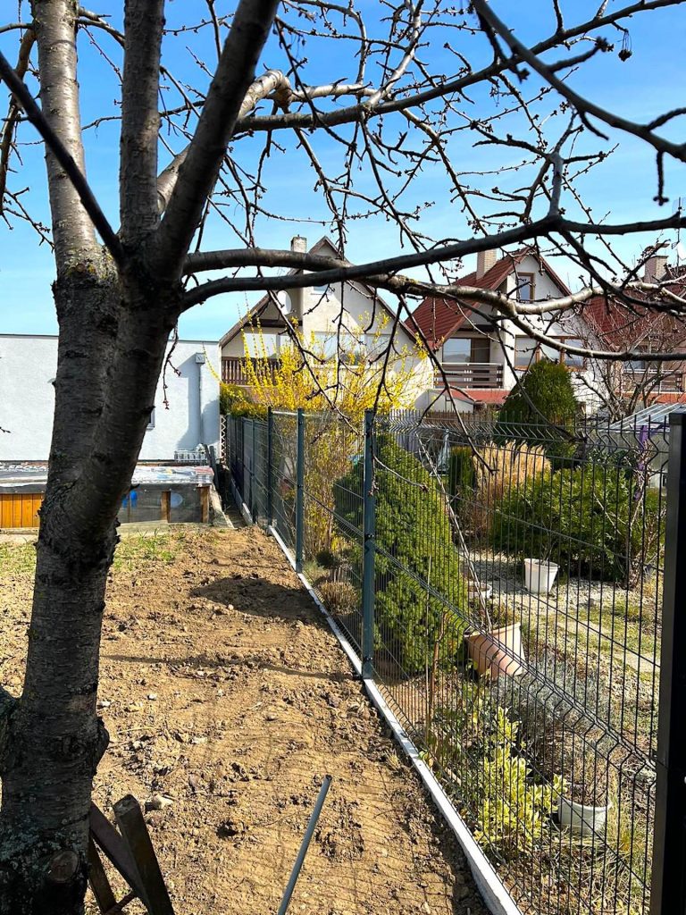 caption for image 1