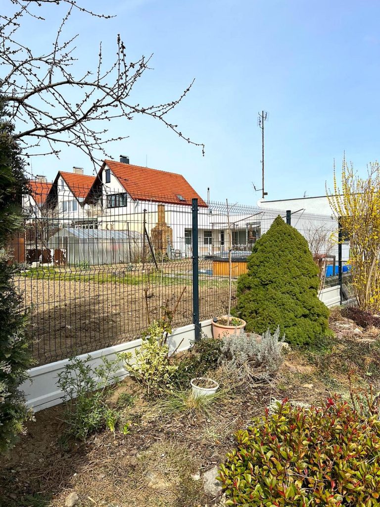 caption for image 1