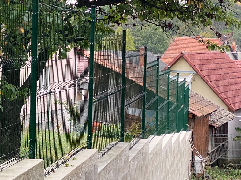 caption for image 1