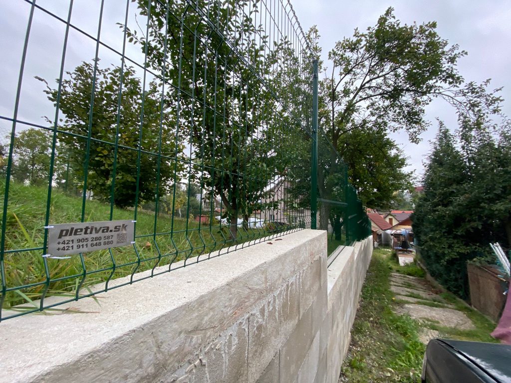 caption for image 1