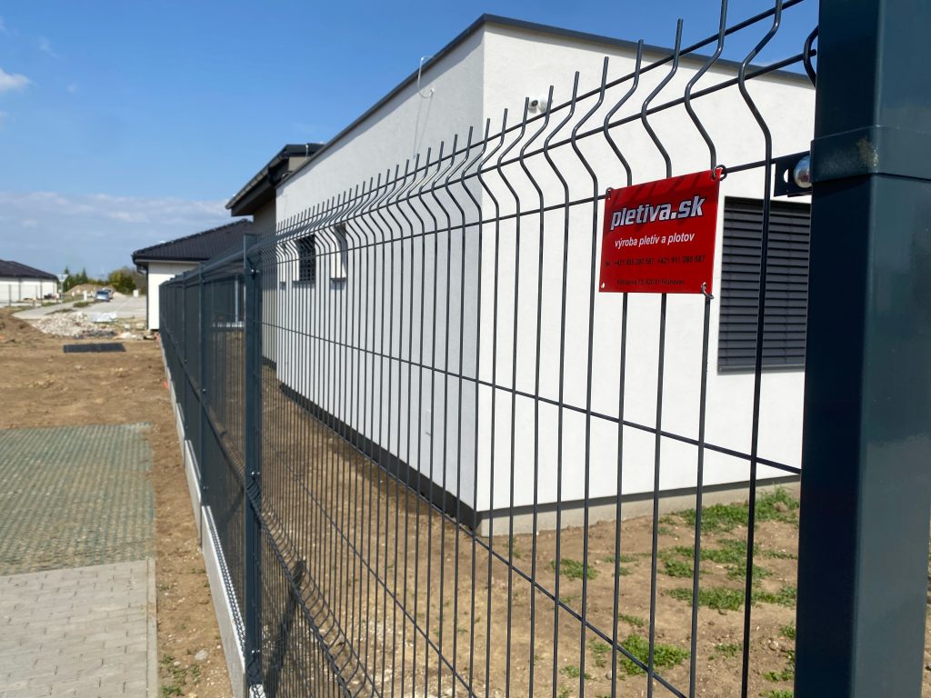 caption for image 1