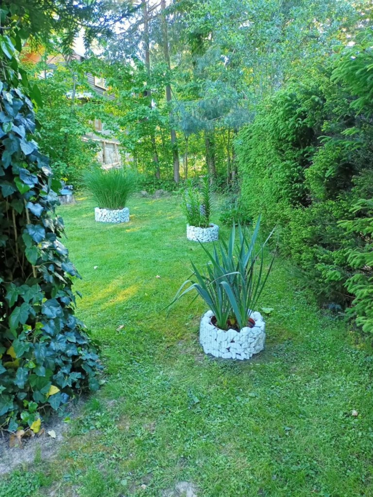 caption for image 1