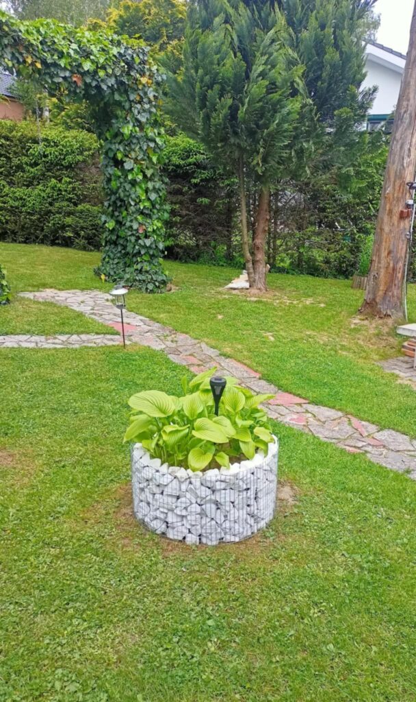 caption for image 1