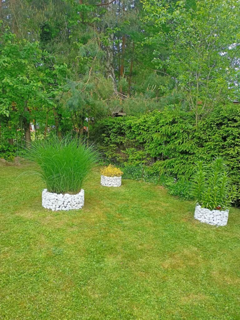 caption for image 1
