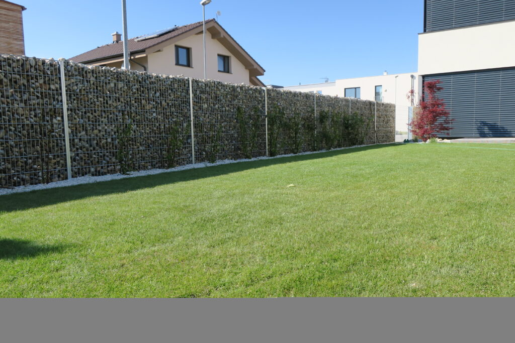 caption for image 1