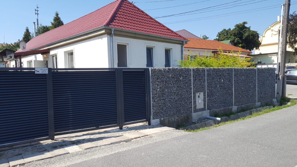 caption for image 1