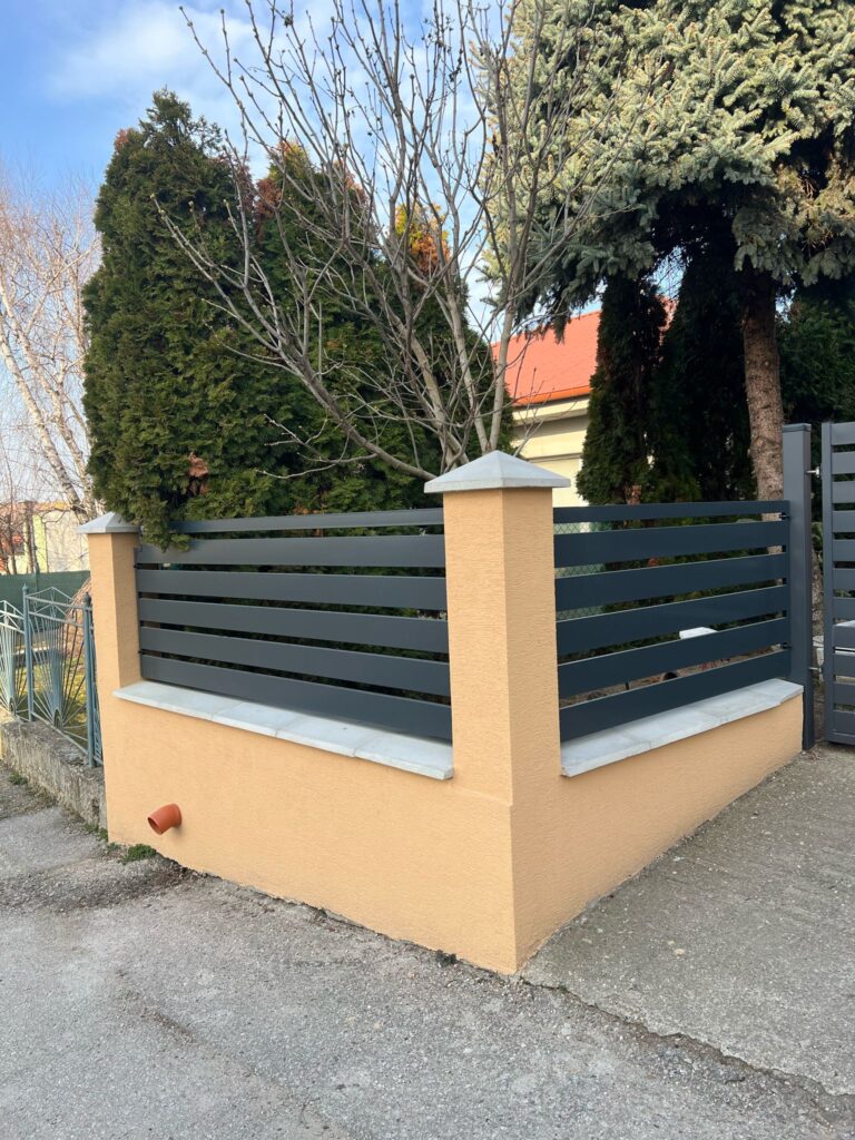 caption for image 1