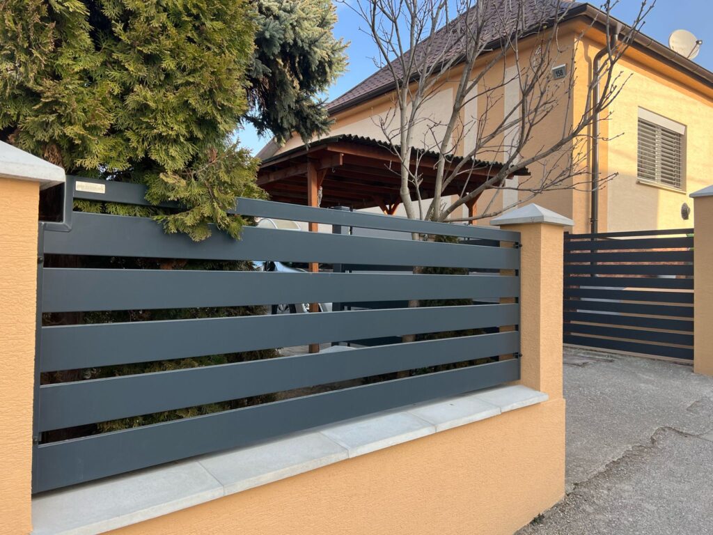 caption for image 1