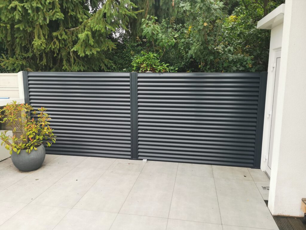 caption for image 1