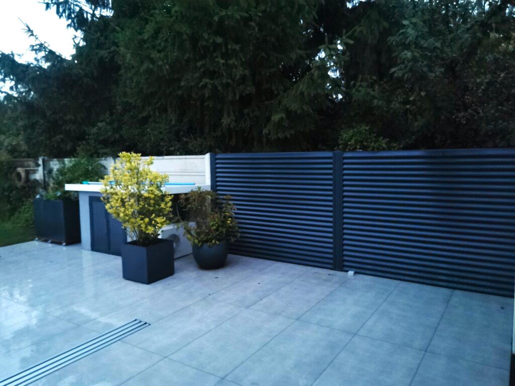caption for image 1