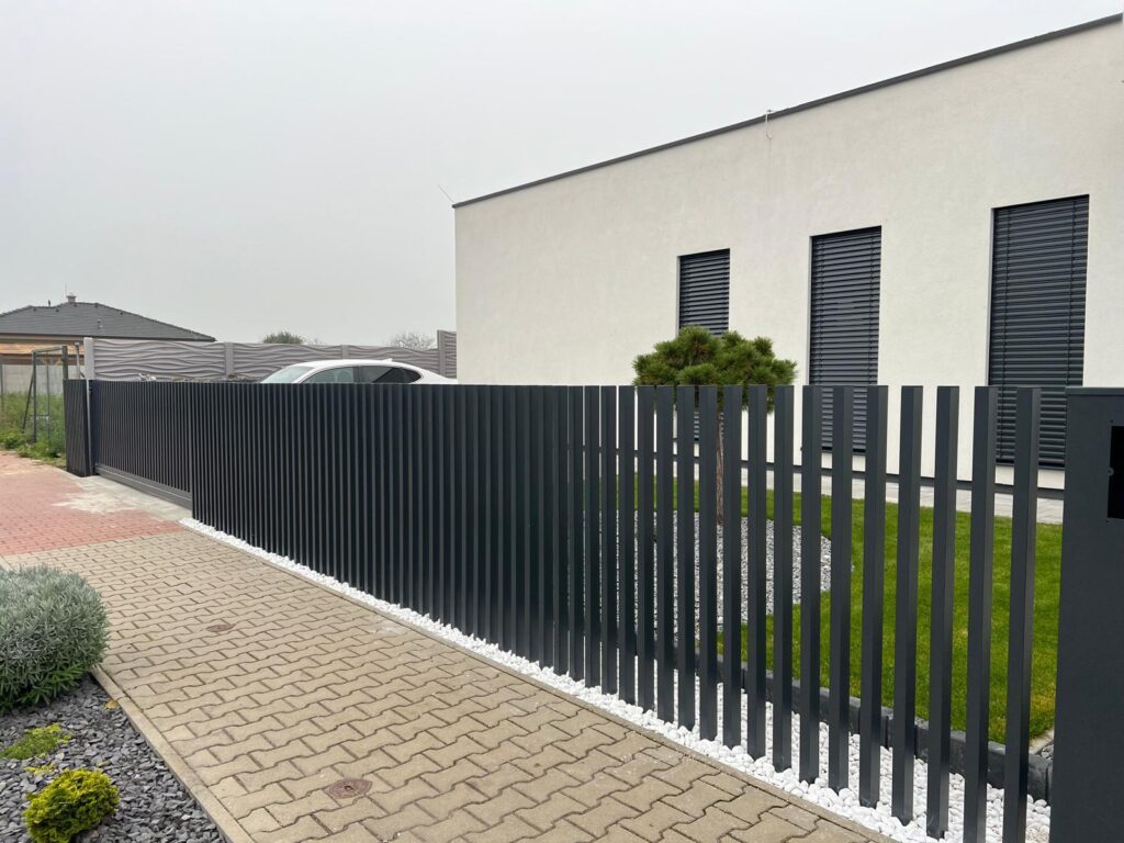 caption for image 1