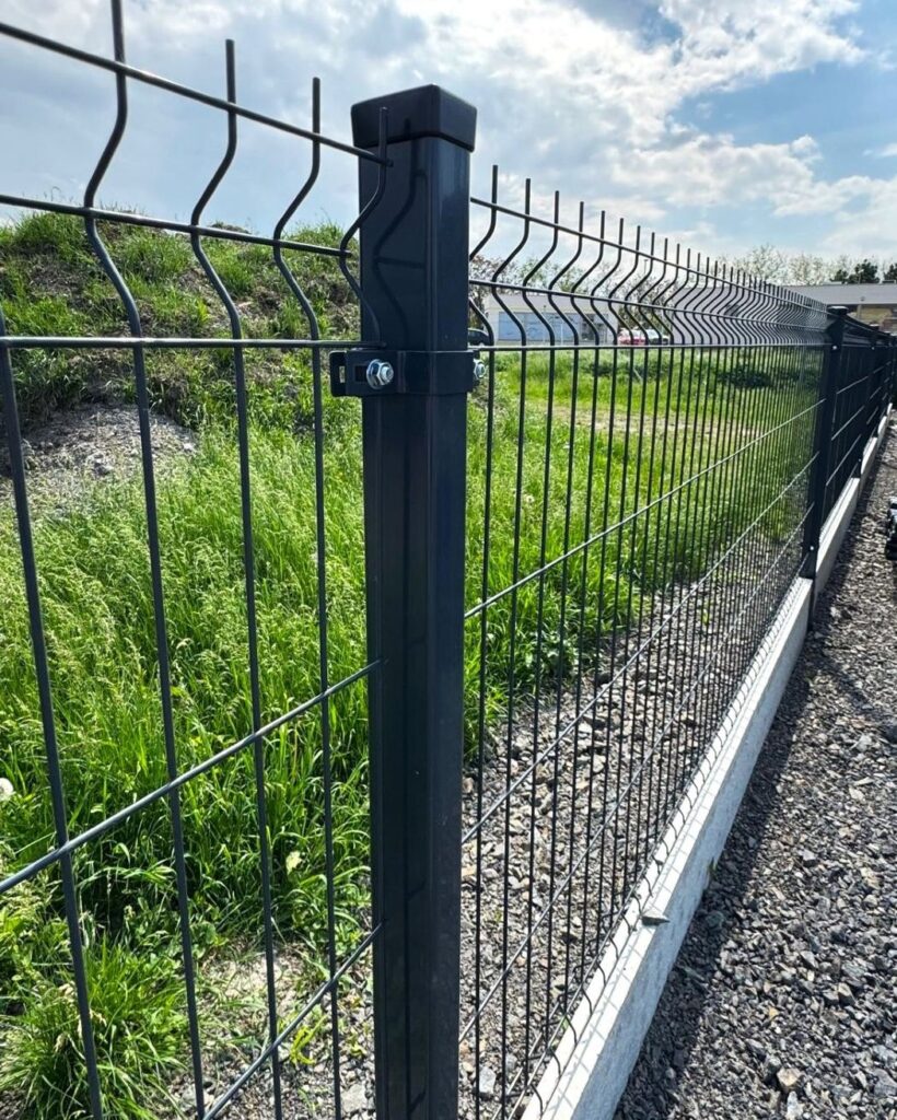 caption for image 1