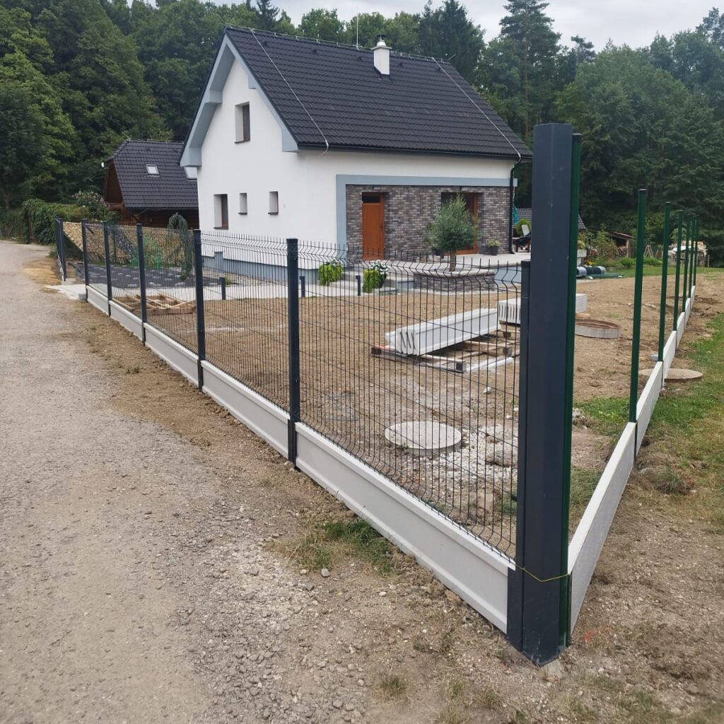 caption for image 1