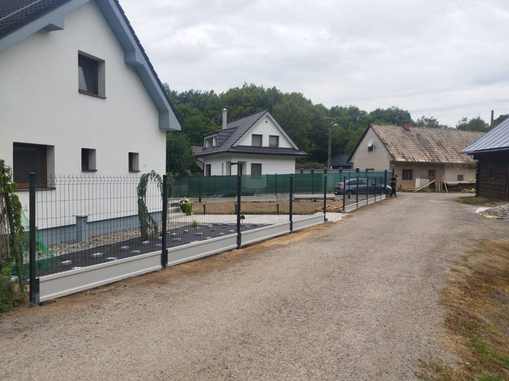 caption for image 1