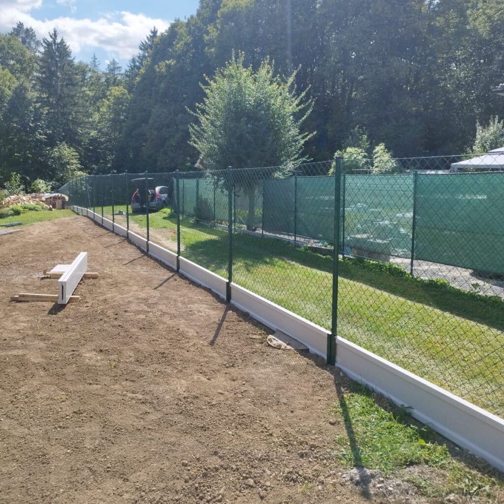 caption for image 1
